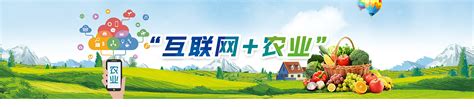 农村互联网电商(互联网 三农)