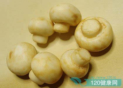 炒松茸蘑菇的做法,松茸蘑菇保存
