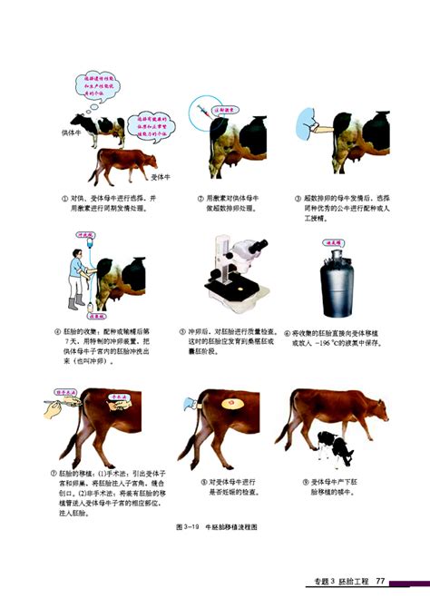 怎么知道自己移植的胚胎级别