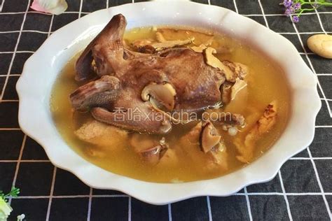 补血鸽子汤的6种配方,孕妇松茸炖鸽子汤功效