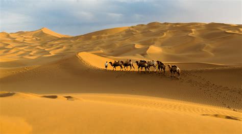 库木塔格沙漠旅游景区在哪？