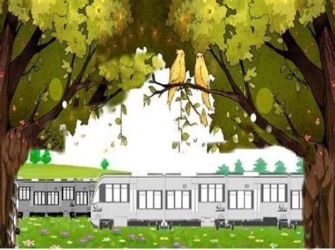 小狼豆豆600字作文[共5则]