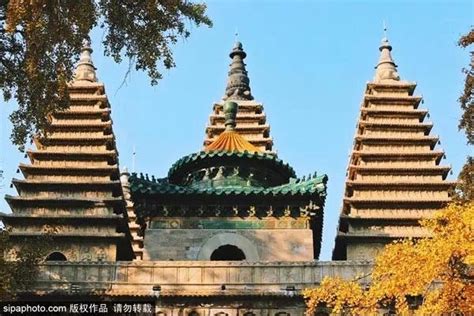 600年的银杏黄了！北京这座绝美古寺秋景已进入最佳观赏期