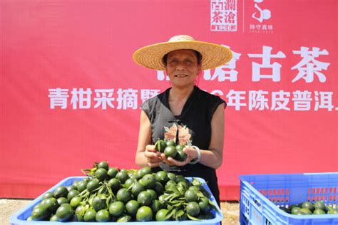 临沧茶厂有哪些,普洱茶三大产区之临沧茶区