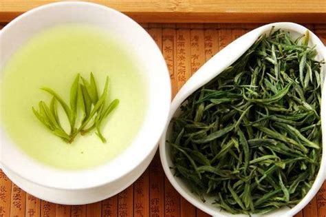 高州新垌绿茶最好品种,什么品种的绿茶最好