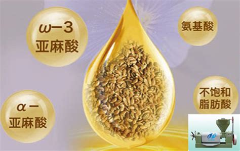 亞麻籽和胡麻油一樣嗎