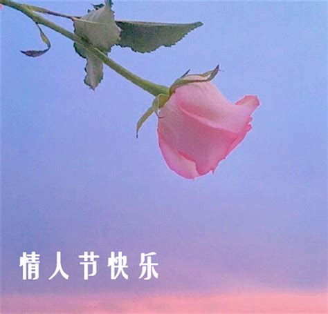 情人节2023祝福语（通用109条）