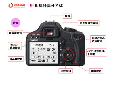 佳能80D单反相机入门摄影教程,单反相机入门教程