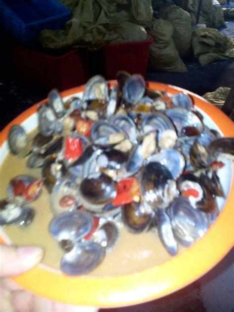 海鲜小河蚌怎么做好吃,水煮河蚌怎么做