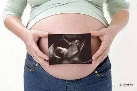 孕14周肚子有多大图片