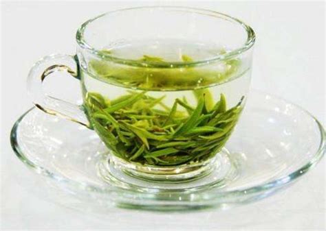 生普洱茶属于什么茶,普洱茶属于什么茶系