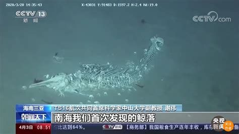 男生说一鲸落万物生什么意思