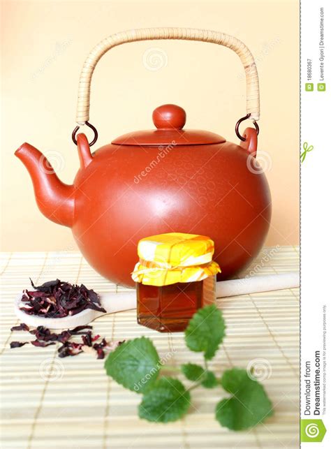 茶也分寒性和热性吗,热性茶都包括什么作用