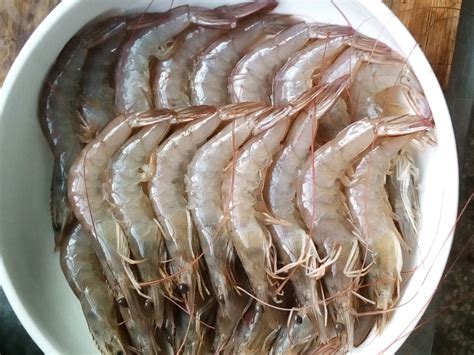 松茸红虾紫菜粥的做法,pp虾怎么烧
