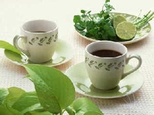雪碧加绿茶是什么味道,一味绿茶是什么味道