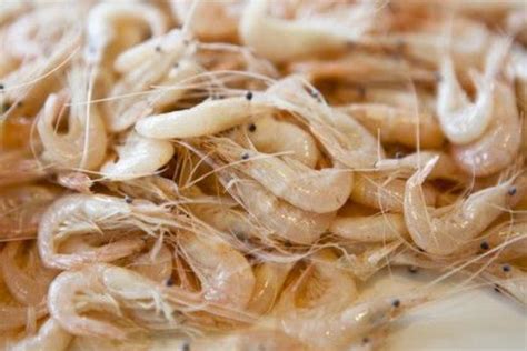 干虾米怎么吃好吃又简单,家里的墨鱼干不知道怎么吃