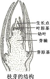 读《绿叶与根》有感300字【合集6则】