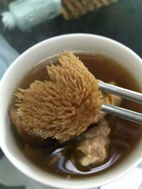 干姬松茸煲汤怎么做,猴头菇姬松茸煲汤