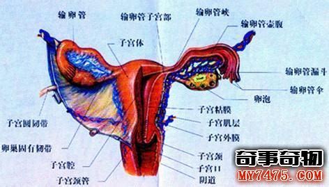 宫腔内异常出血是怎么回事