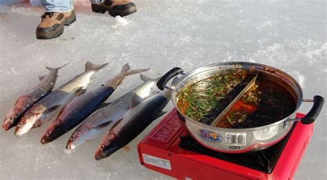 白沙洲哪個位置好釣魚,分享武漢免費釣點