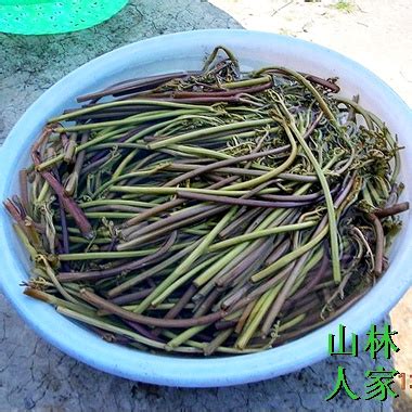 盘点客家餐馆上的农村美食,客家怎么炒炒山蕨菜