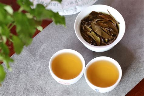 中国名茶信阳毛尖,毛尖茶有什么特点