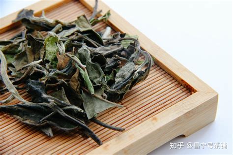 老寿眉是什么茶,老树寿眉是什么茶