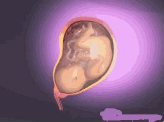 胎儿如何宫内缺氧