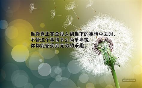 鼓励自己的短句文艺