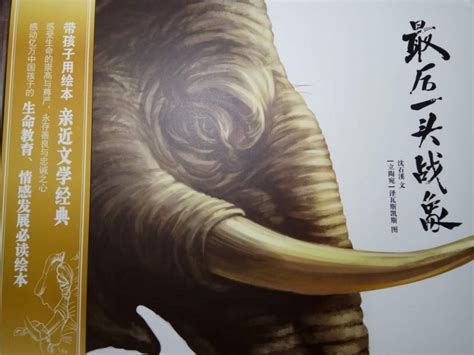 读《最后一头战象》有感作文500字[共计6篇]