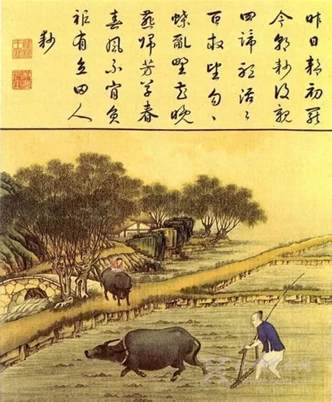 描写乌龟和人的诗句[合集47句]