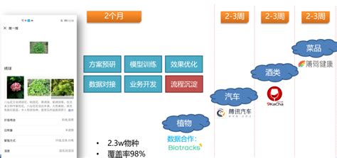 怎么样用手机识别花草