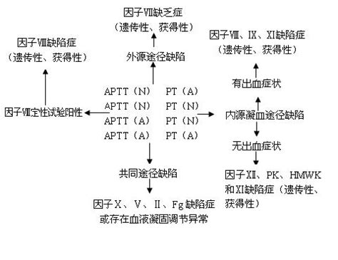 孕妇补血的几个陷阱