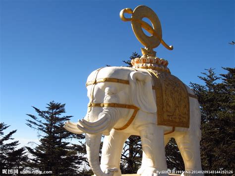 《白象家族》-读后感550字[集锦5篇]