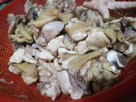 干松茸香菇炖鸡的做法,藏松茸香菇炖鸡的做法