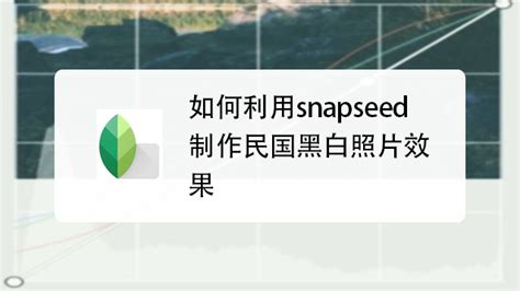 手机修图软件snadseed什么意思