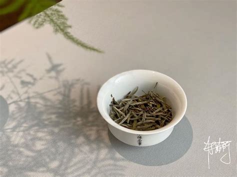绿茶的储存因素有哪些,春白茶和绿茶的保存
