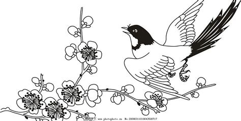 梅花-描写花的作文450字(优秀7则)