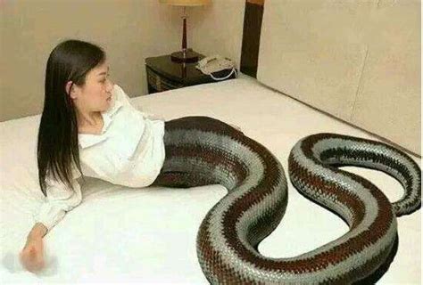 动画女主生吞了一条蛇