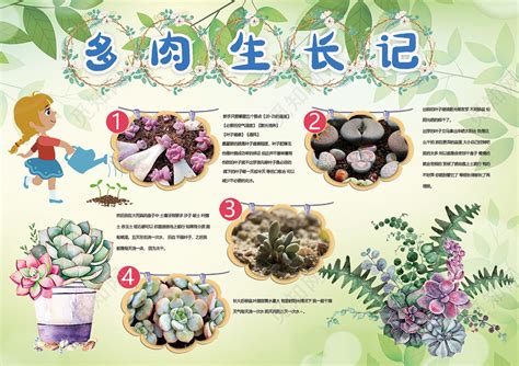 观察多肉植物_三年级状物作文200字(共计4篇)