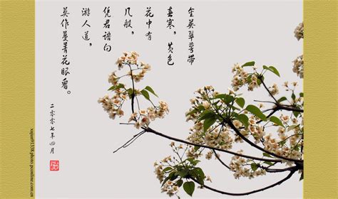 形容樱花的诗句古诗
