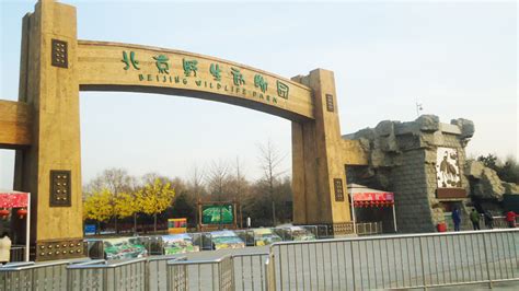 北京动物园批发市场遗忘的角落,2014年北京动物园批发市场什么时候开门