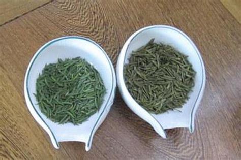 新茶和陈茶如何辨别呢,为什么新茶看着像陈茶