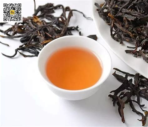 广东潮州产什么茶叶,潮州有什么茶叶