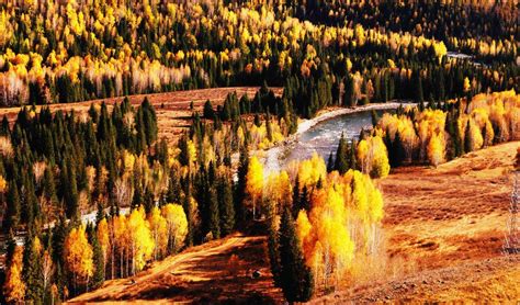 秋天新疆最美自驾游路线