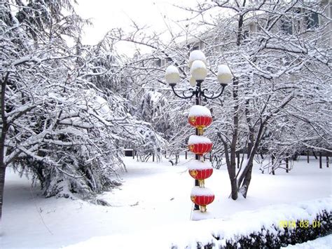 校园雪景文案高级感