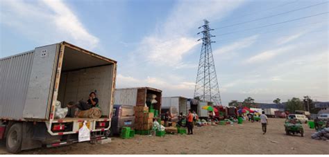 听说北京京良路边上新开了一个批发的花卉市场,不知道怎么样,大家有去过的吗