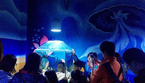2019北京亲子夜宿奇妙海洋馆时间地点、门票价格、活动安排