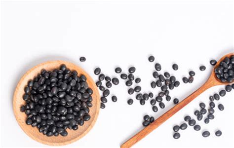 黑豆的营养价值及功效与作用禁忌 炒黑豆的营养价值及功效与作用