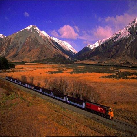 坐上高山观景火车体验新西兰慢生活